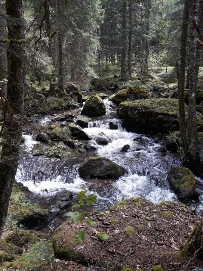 Anno - Die Wohlfuehl - Idylle In Gruenbach_Kirchdorf Kirchdorf im Wald Buitenkant foto