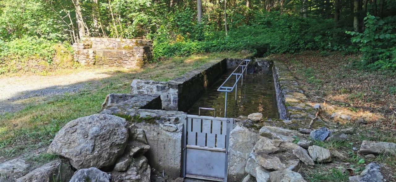 Anno - Die Wohlfuehl - Idylle In Gruenbach_Kirchdorf Kirchdorf im Wald Buitenkant foto
